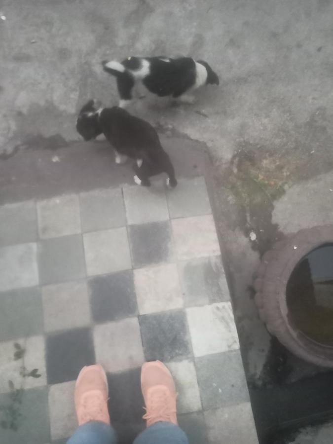 Sanjana'S Stay ウダイプル エクステリア 写真